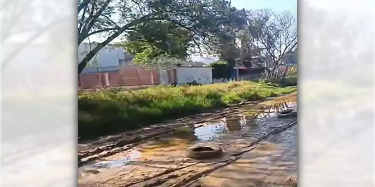 Vecinos de San Jacinto Amilpas denuncian abandono tras inundaciones por lluvias