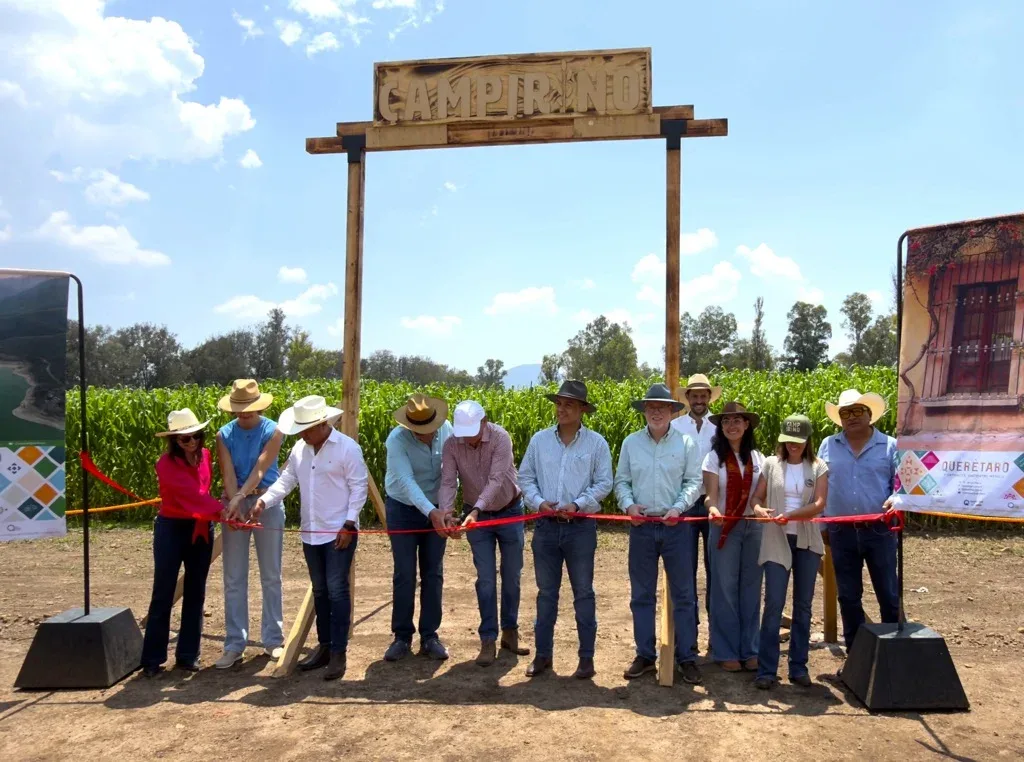 Abren Campirino, el laberinto de maíz más grande del Bajío en Huimilpan