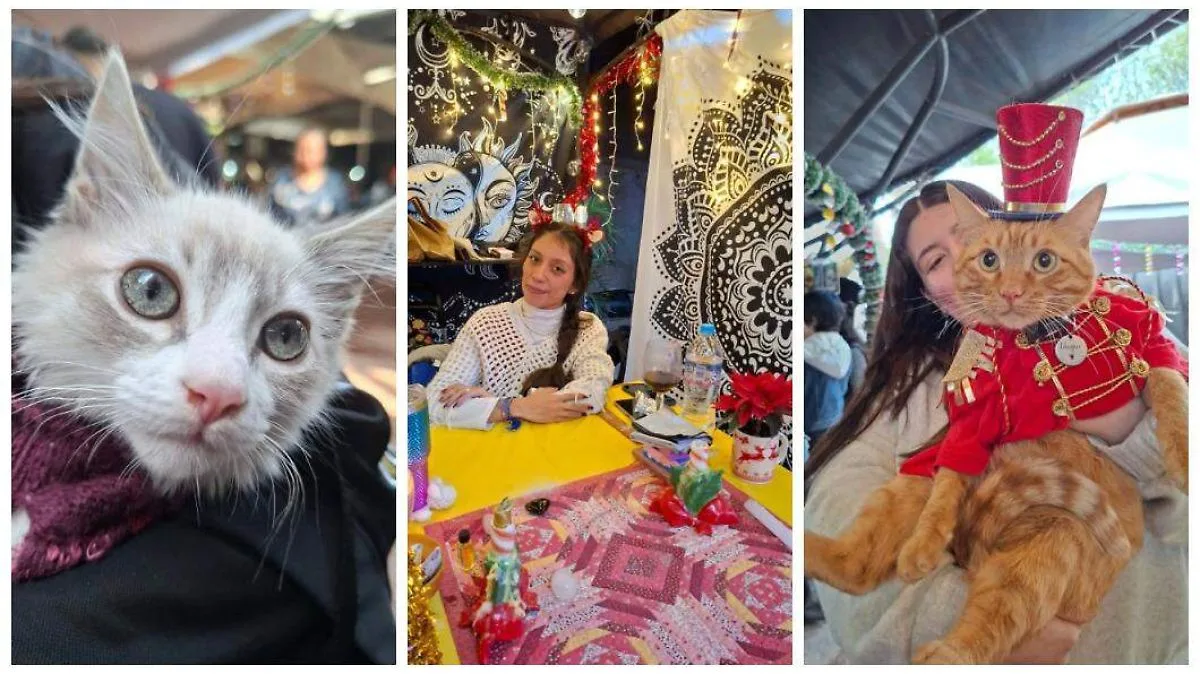 Agenda cultural en Ciudad de México: actividades destacadas del 13 al 18 de mayo