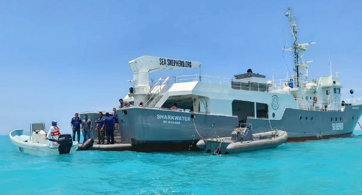Alianza internacional contra la pesca ilegal en costas de Yucatán
