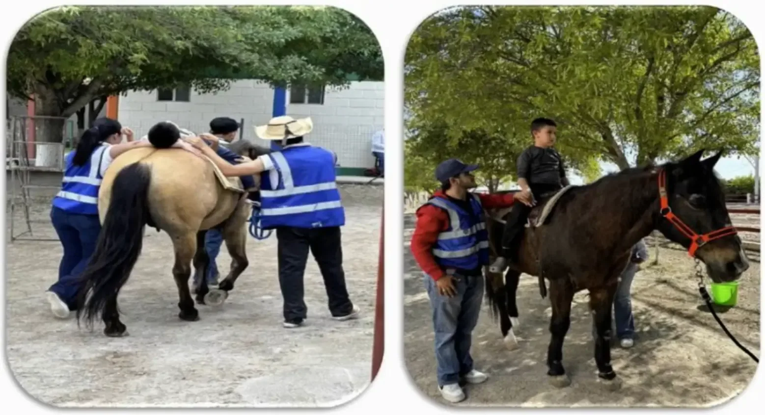 Cabalgando por una Sonrisa" continúa con equinoterapia para personas con discapacidad