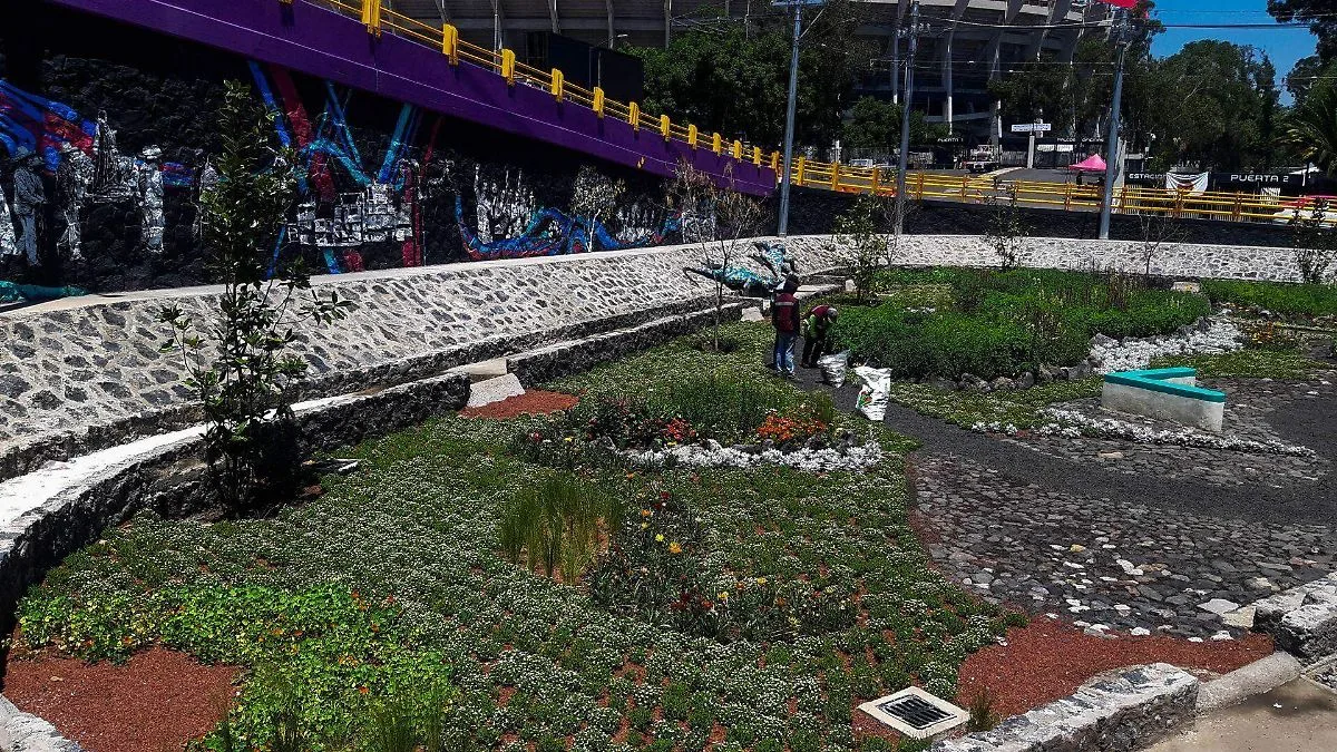 Censo vehicular en Coyoacán registra cerca de 10 mil autos previo al Mundial