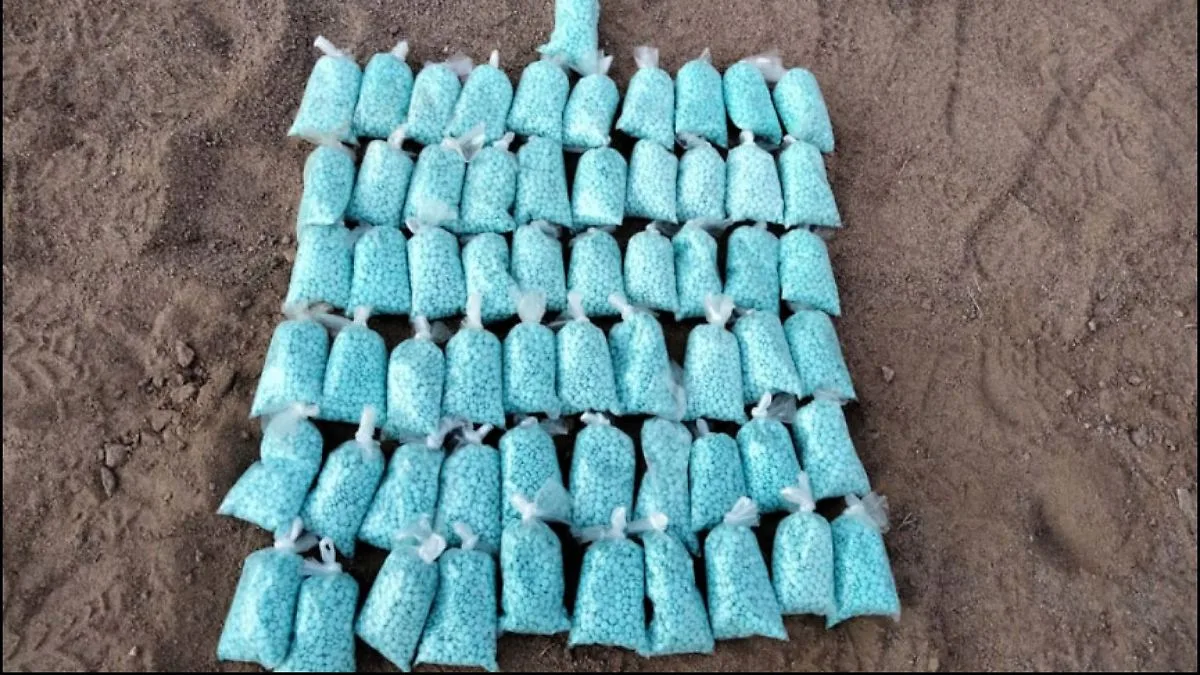China limita exportaciones de precursores químicos a Norteamérica para frenar producción de drogas