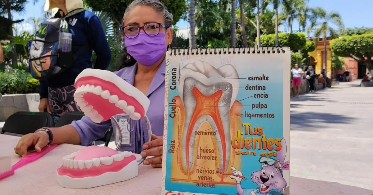 Claves para un cepillado dental eficaz que previene enfermedades bucales