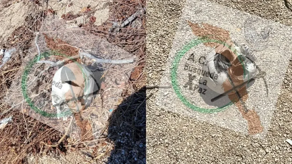 Colectivos hallan cráneo humano en Cabo San Lucas tras llamada anónima
