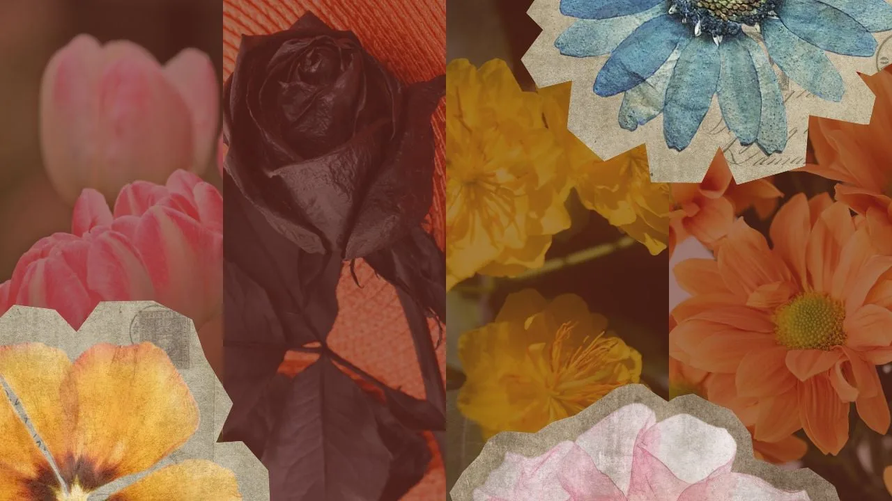 Día de las Madres: tres flores que conviene evitar regalar por lo que sus colores comunican