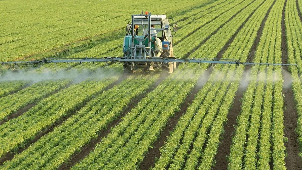 El campo en Extremadura debate la reducción de fitosanitarios ante retos ambientales y productivos