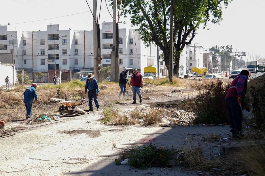 Gobierno de Pepe Chedraui intensifica mantenimiento en bajo puentes y distribuidores viales