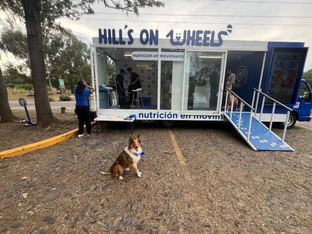 Guadalajara ofrecerá asesorías gratuitas sobre nutrición para perros y gatos durante dos meses