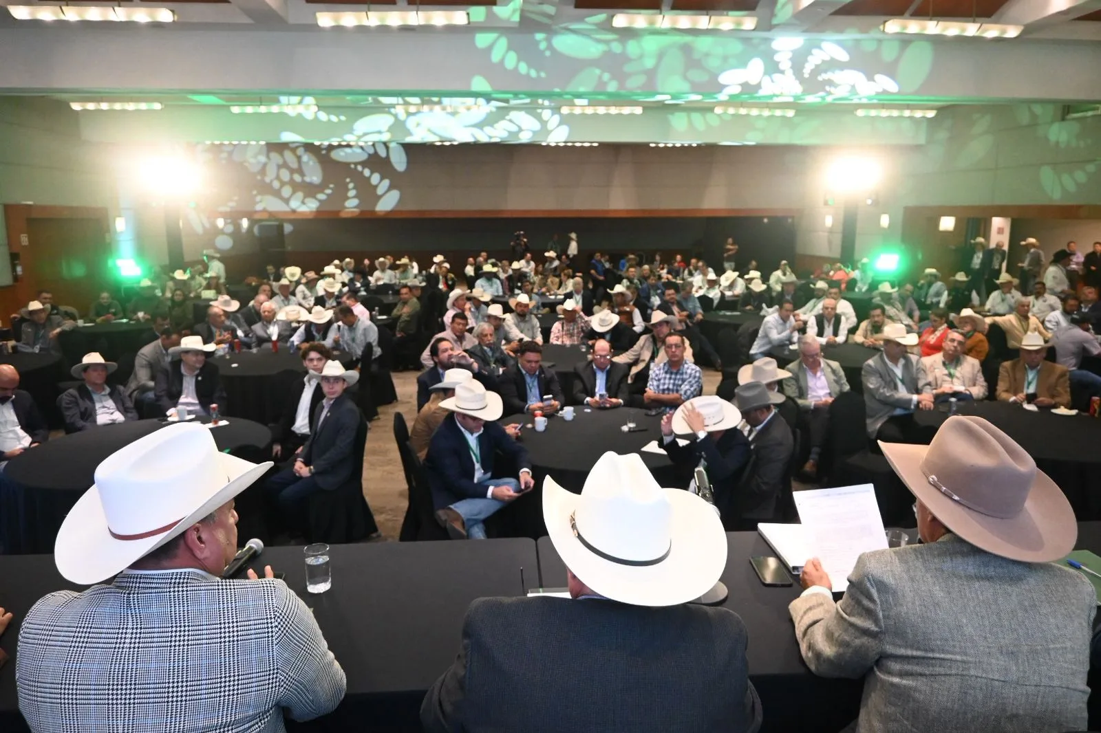 La ganadería mexicana avanza con unidad frente a desafíos sanitarios y productivos
