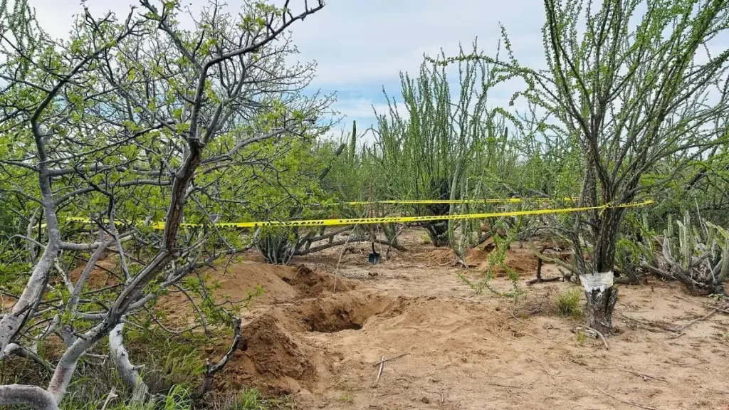 Más de 140 cuerpos han sido localizados en fosas clandestinas en Baja California Sur