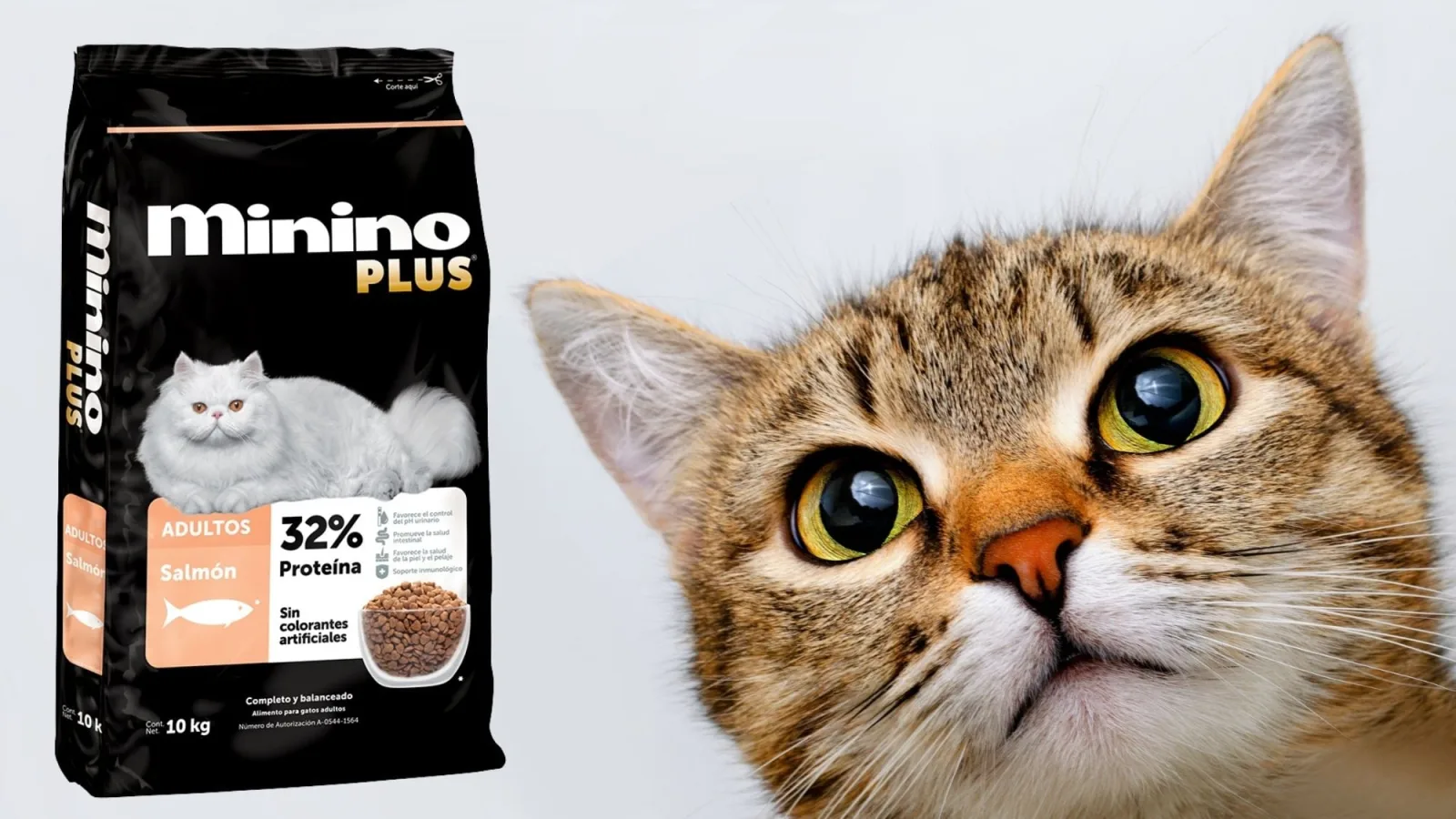 Minino Plus lanza alimento de salmón con omega-3 y algas para la salud urinaria de gatos