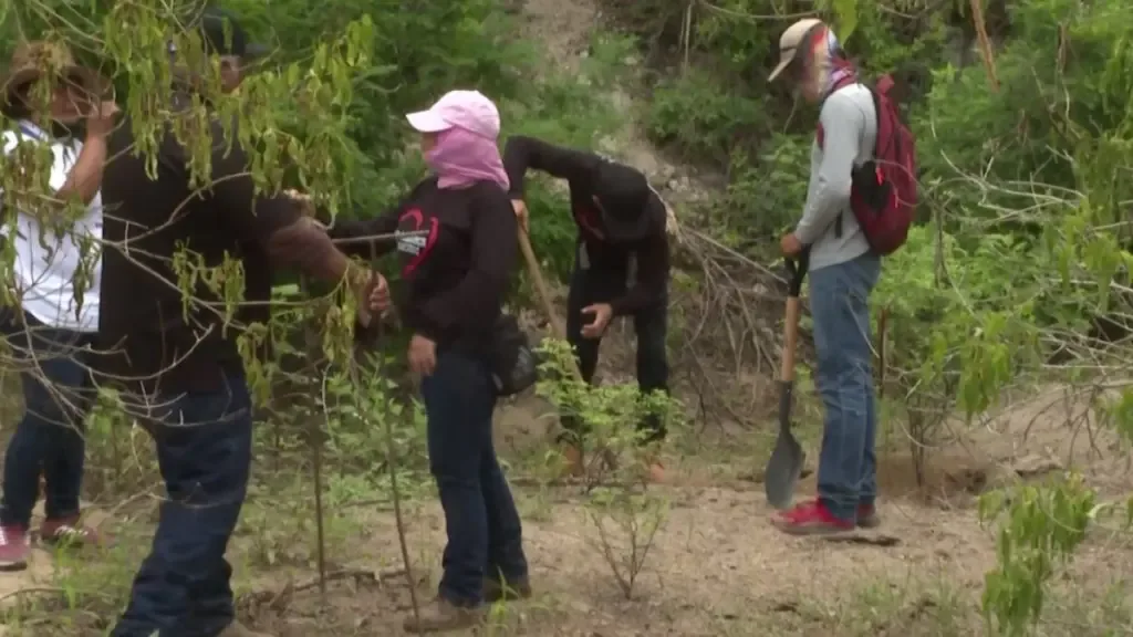 Naciones Unidas reconoce a madres buscadoras como pilar en la lucha contra desapariciones en México