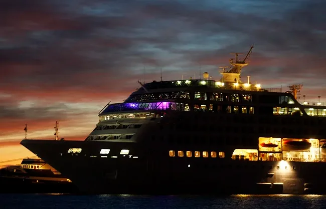 OMS confirma brote de hantavirus en crucero austral con tres muertes