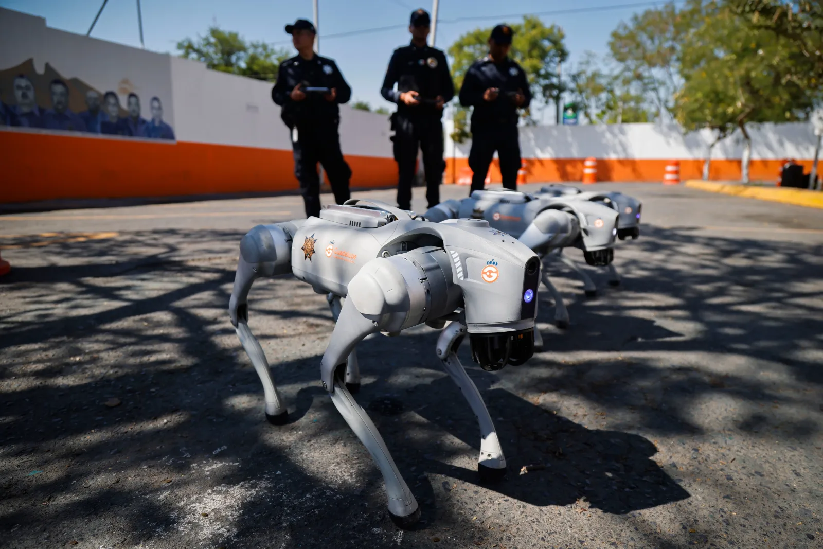 Perros robots K9-X patrullarán Monterrey durante el Mundial con inteligencia artificial