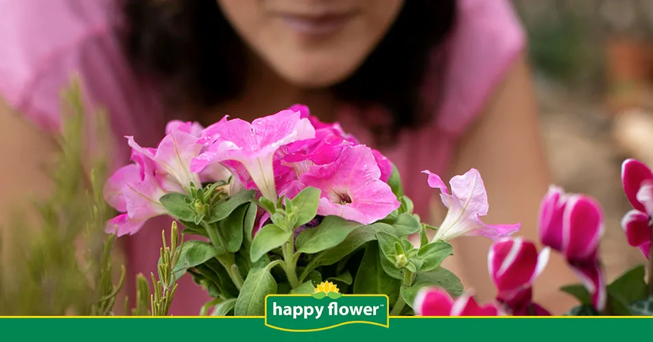 Plantas con flor que duran más tiempo y renuevan tu hogar