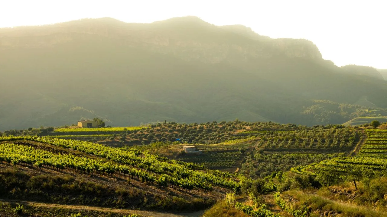 Priorat: un destino vinícola para descubrir más allá de la vendimia