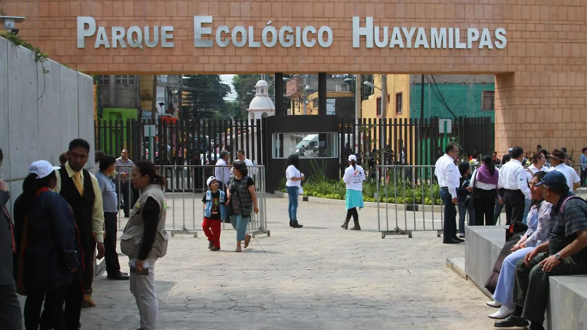 Profepa confirma que remodelación del Parque Huayamilpas no dañó la fauna silvestre