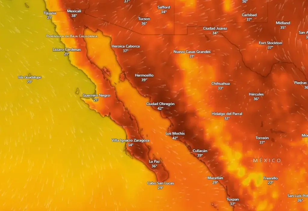 Pronóstico climático para La Paz y Los Cabos anticipa altas temperaturas y vientos intensos