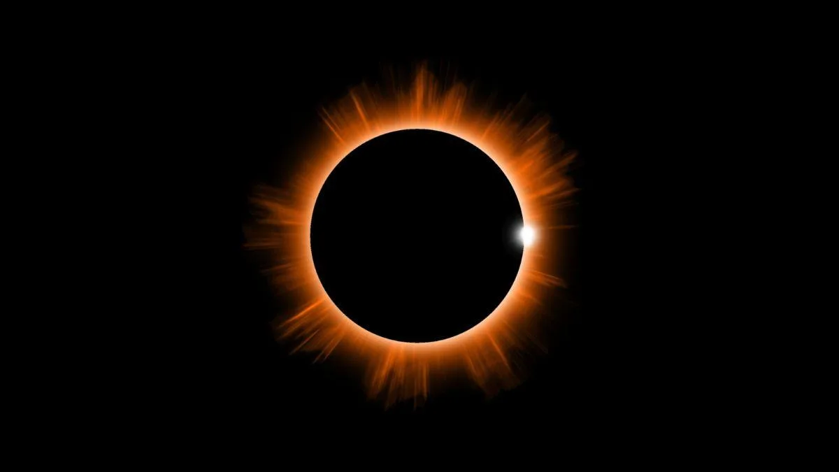Reacciones sorprendentes de los animales durante un eclipse solar total