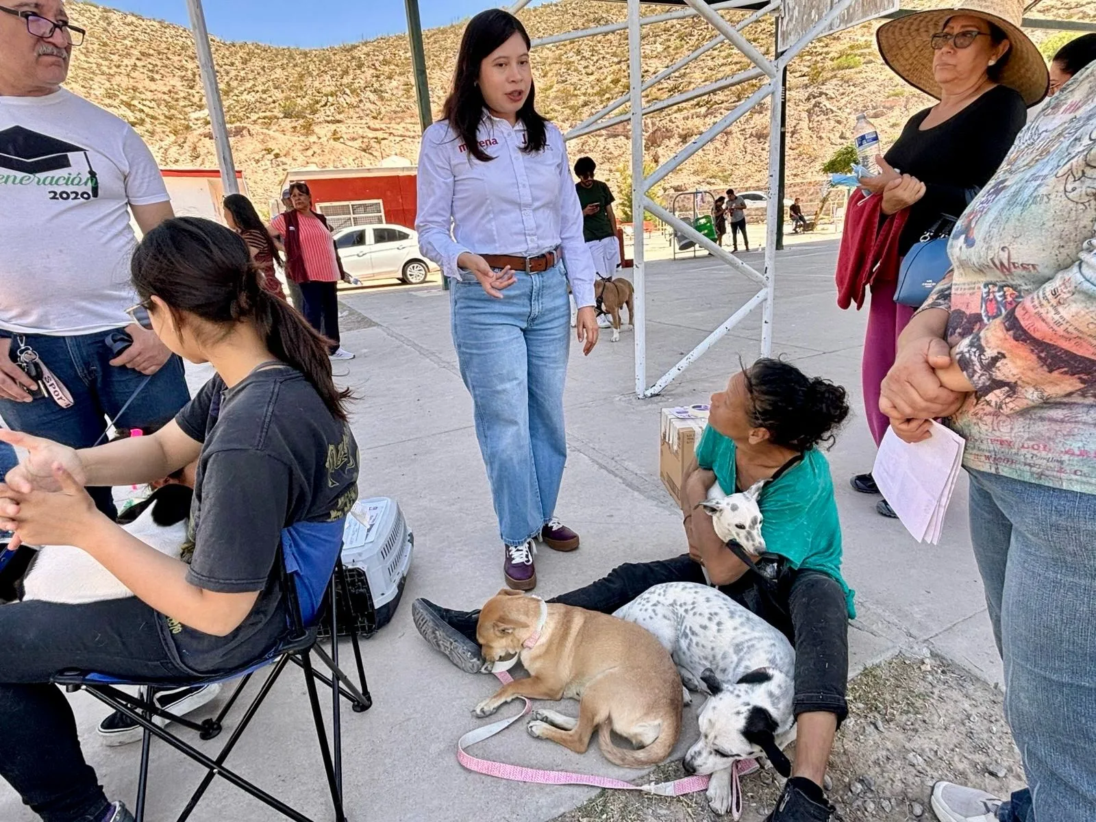 Realizan en Ciudad Juárez 200 esterilizaciones gratuitas para perros y gatos en Palo Chino