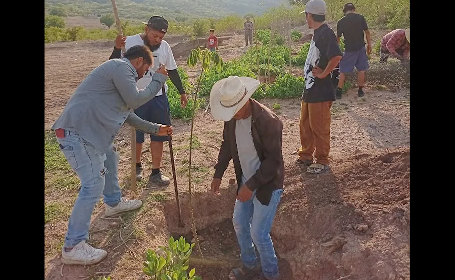 Vecinos de Olomatlán siembran ceibas para renovar espacios públicos en jornada comunitaria