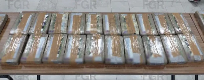 Vinculan a proceso a cuatro personas por transportar más de 65 kilos de cocaína en carretera federal