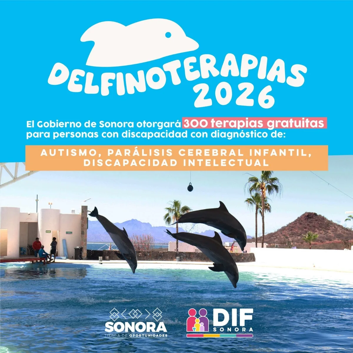 Abren convocatoria para terapias con delfines a menores con discapacidad en Sonora