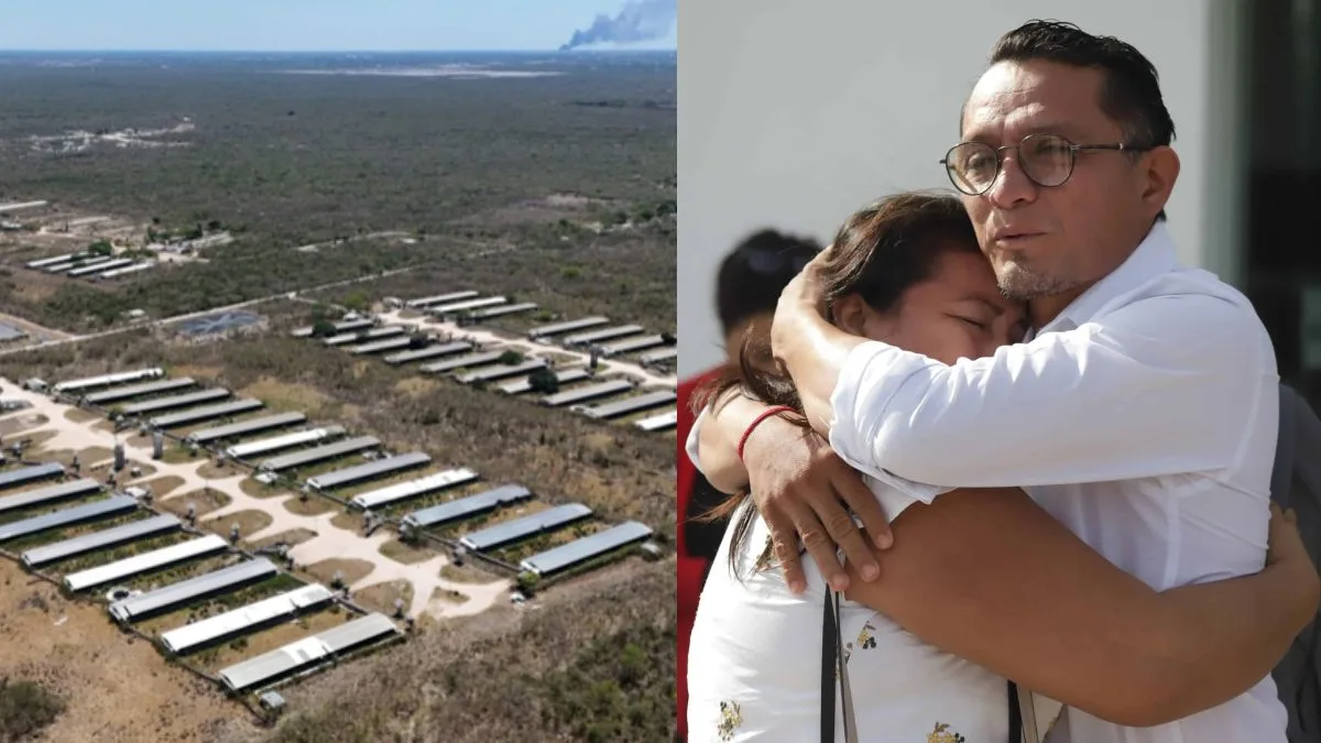 Absolución de líder maya tras denuncias contra megagranja porcícola en Yucatán