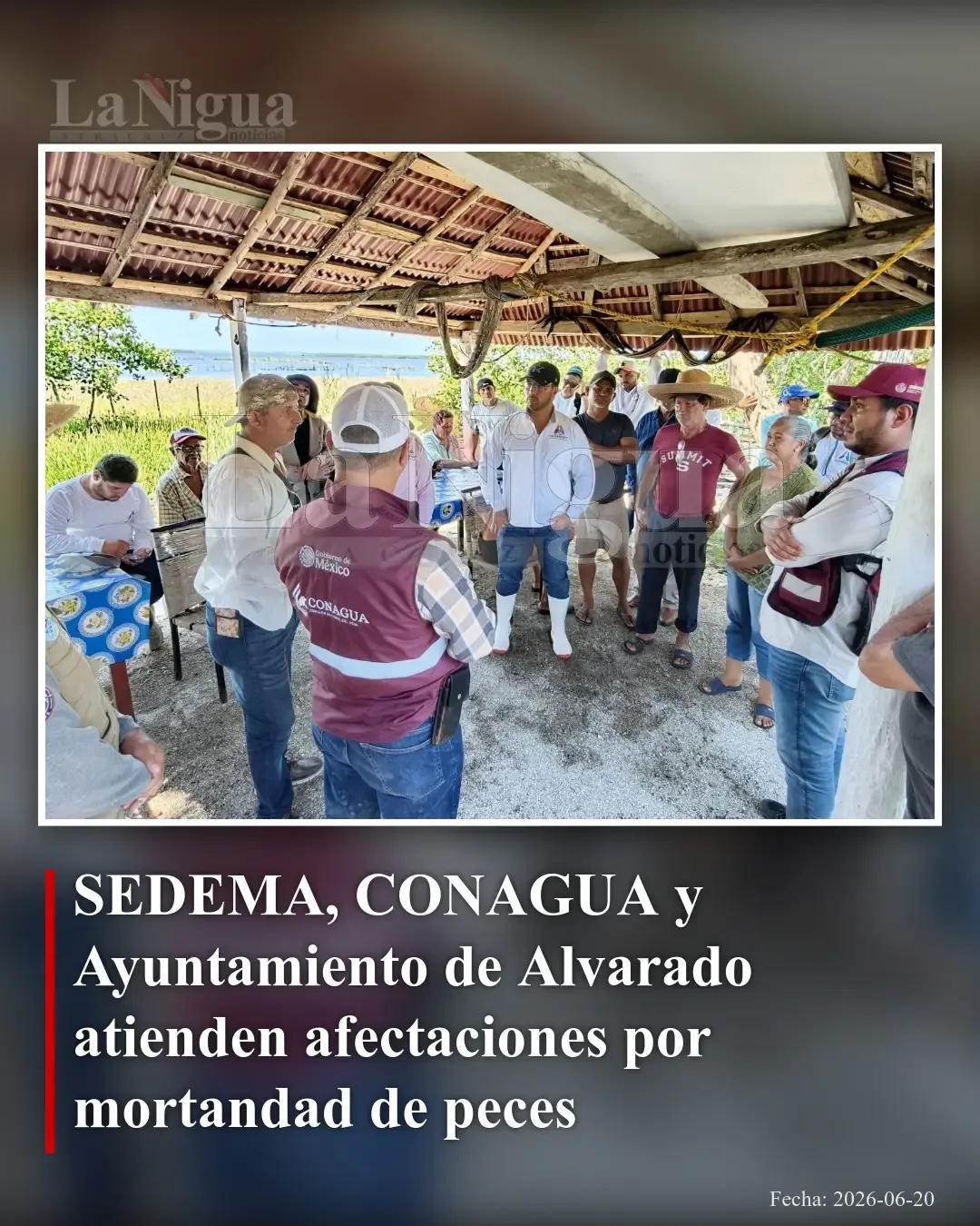 Autoridades atienden derrame químico que causó mortandad de peces en Alvarado