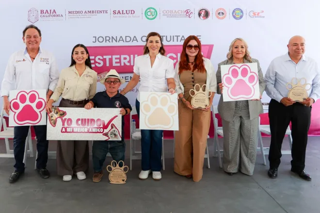 Baja California ofrece más de 25 mil esterilizaciones gratuitas para promover el bienestar animal
