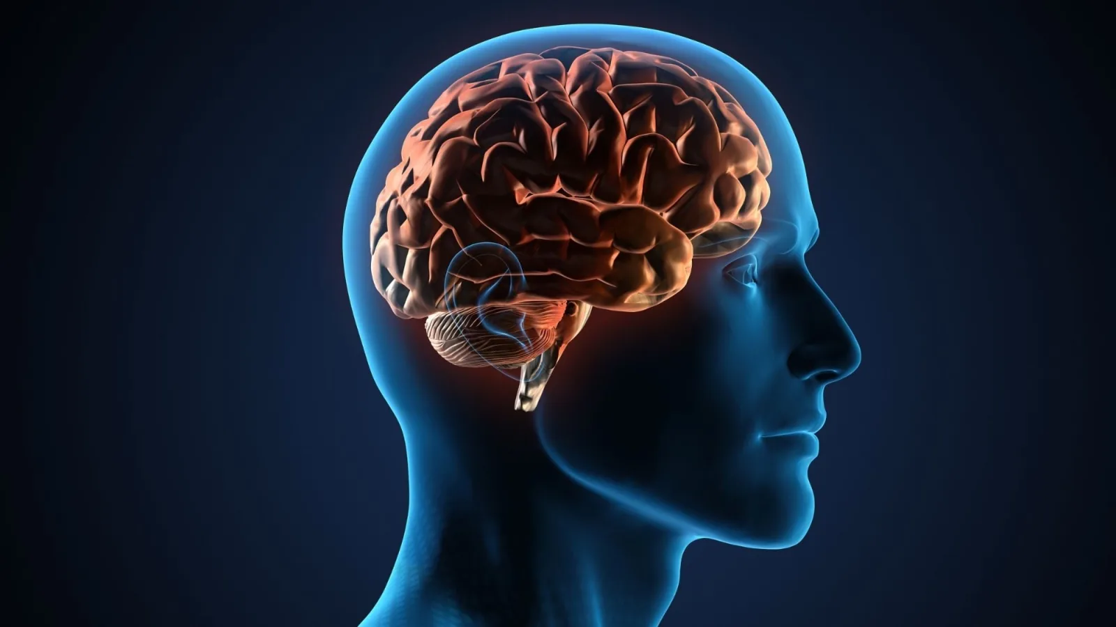 Científicos crean chip neuromórfico que mejora la computación cuántica a temperaturas extremas