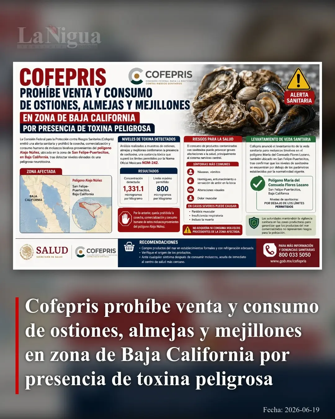 Cofepris suspende venta y consumo de moluscos en Baja California por neurotoxina peligrosa