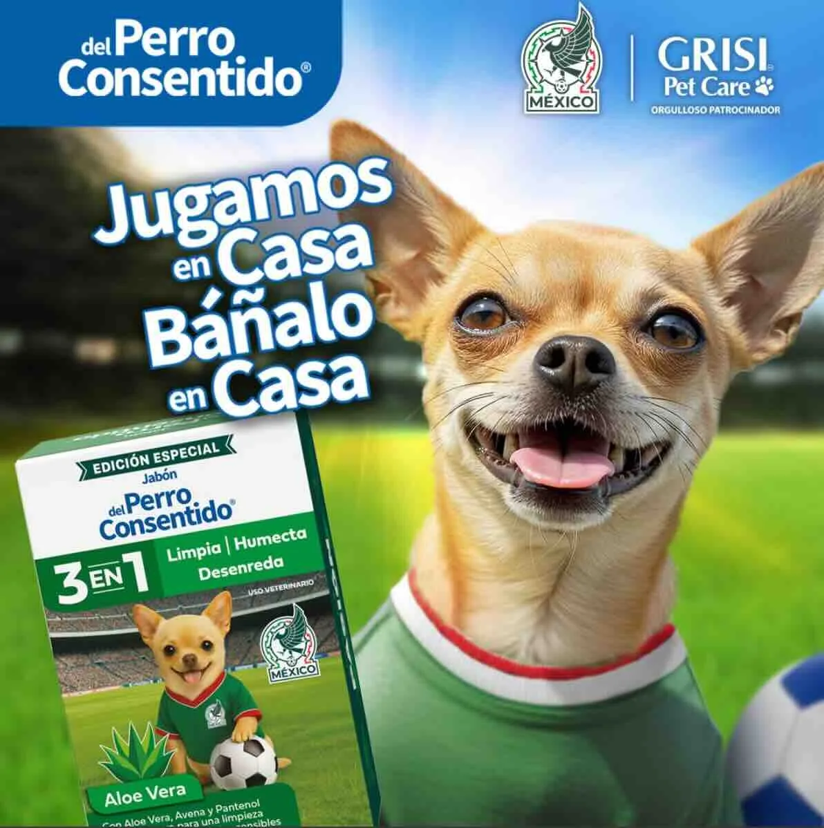 Cómo preparar a tu perro para disfrutar del ambiente futbolístico en casa