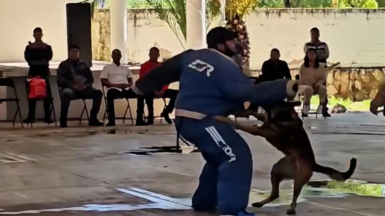 Demuestran en Río Grande las habilidades de la Unidad Canina de Metropol