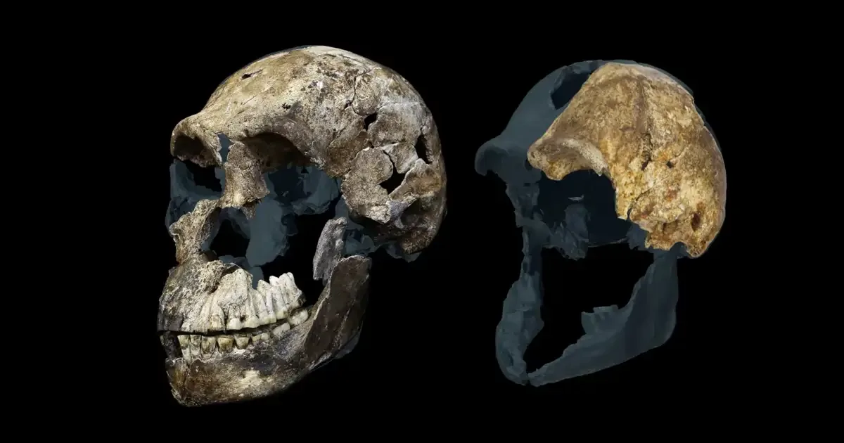 Descubren que todos los homínidos de una cueva en Sudáfrica serían hembras, un hallazgo único