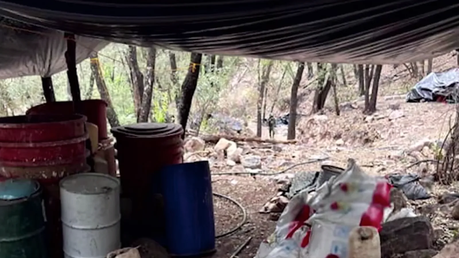 Desmantelan poderoso narcolaboratorio en la sierra de Chihuahua y aseguran insumos clave