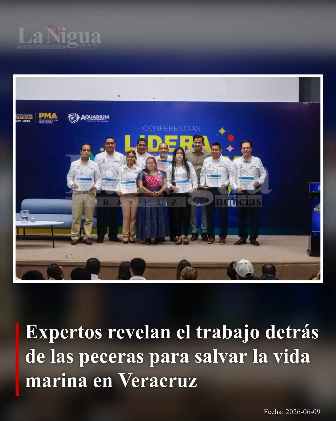Estrategias y desafíos en Veracruz para proteger la vida marina desde el Aquarium del Puerto