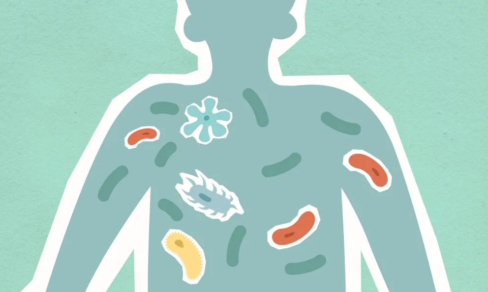 Estudio vincula el microbioma intestinal en bebés con señales tempranas de autismo y TDAH