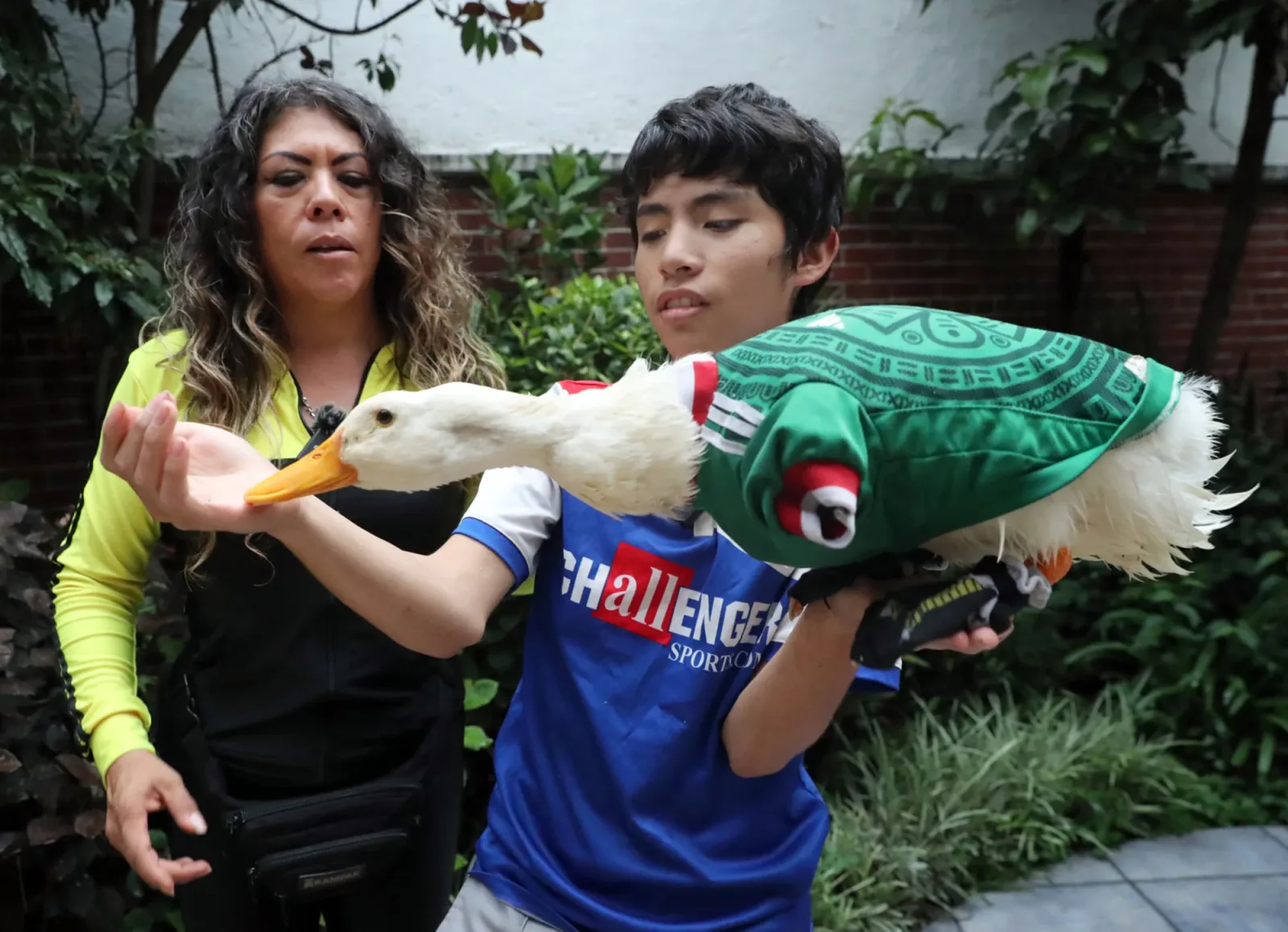IMPI concede registro de marca al Pato Merlín y reconoce a su dueña legítima