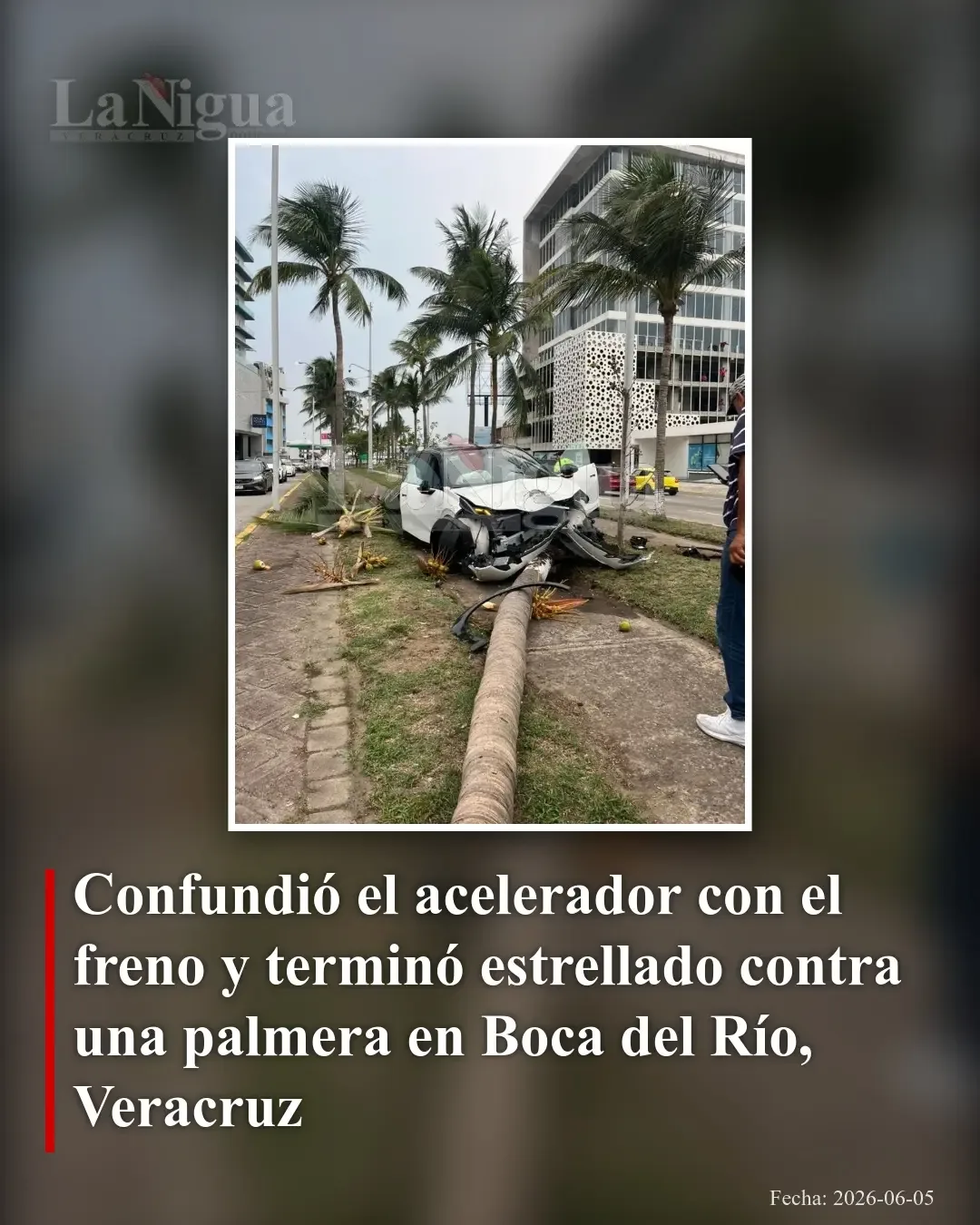 Joven confunde acelerador con freno y choca contra una palmera en Boca del Río