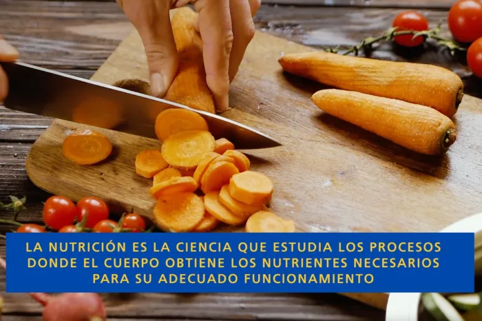 La nutrición como pilar en la prevención de enfermedades y desarrollo integral