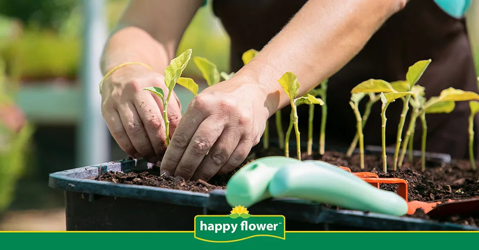 Las enseñanzas esenciales que deja cultivar un jardín