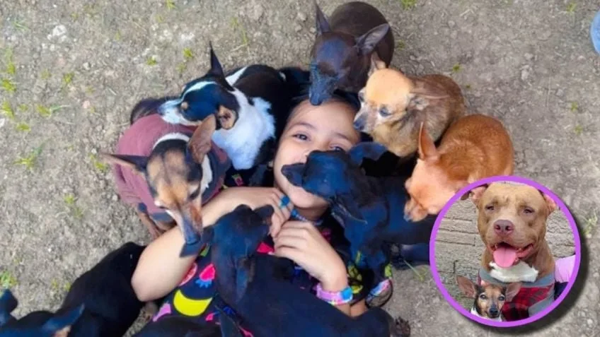 Niña brasileña conmueve en redes por dormir junto a sus animales y comunicarse con ellos