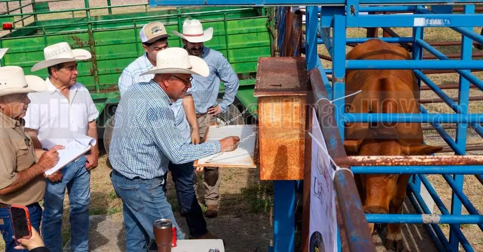 Nuevo Laredo impulsa la productividad ganadera con el Segundo Concurso del Novillo Gordo 2026