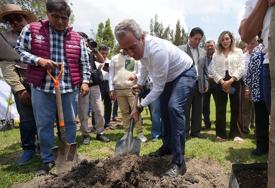 Puebla impulsa la reforestación urbana con el programa Raíces del Futuro