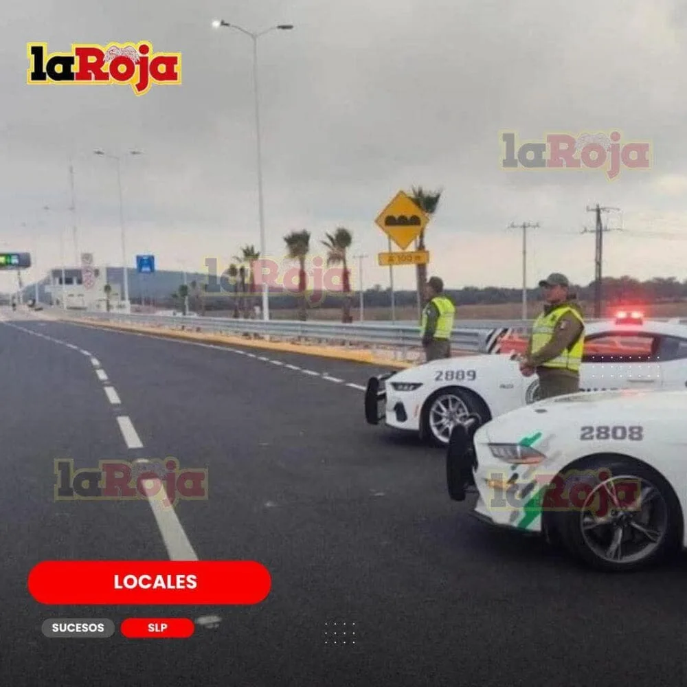 Recuperan hasta cinco vehículos robados al día gracias a arcos de seguridad en San Luis Potosí