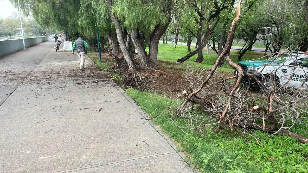 Refuerzan la limpieza y seguridad en Parques Tangamanga ante lluvias recientes