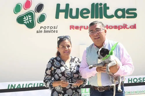 Soledad impulsa la protección animal con atención médica móvil y centro de refugio