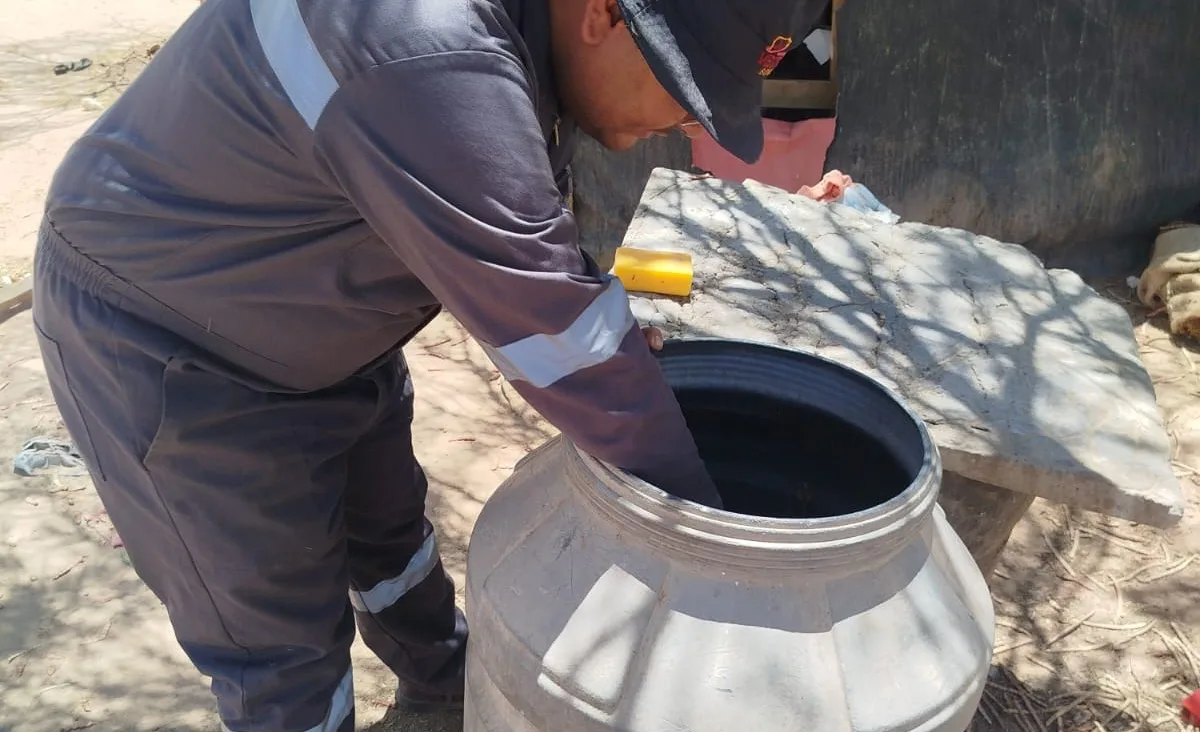 Sonora intensifica fumigación y control para frenar el dengue en más de 65 mil hectáreas